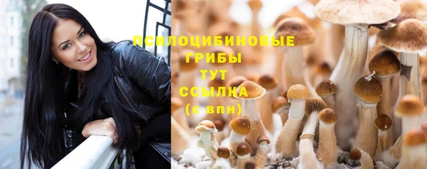 эйфоретик Балахна