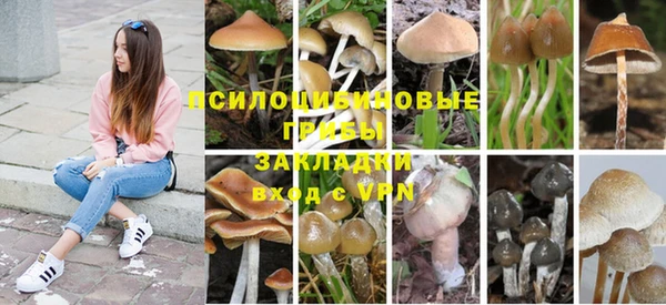 mdpv Усмань