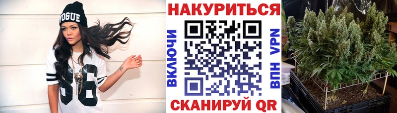 сколько стоит  Опочка  Конопля ГИДРОПОН 